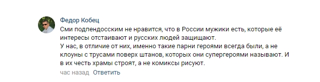 Комментаторы «ВКонтакте» раскритиковали Гиркина за негативный комментарий о герое-добровольце