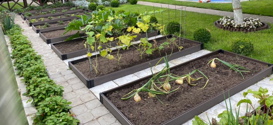 Пенсионерка сделала чудо-грядки на своём огороде и собрала урожай в 10 раз больше