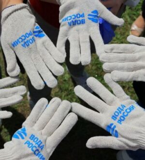 «Общий сбор» завершен: итоги конкурса среди волонтеров Всероссийской акции «Вода России»