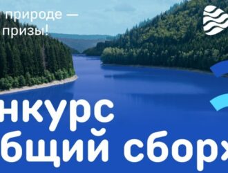 «Общий сбор» завершен: итоги конкурса среди волонтеров Всероссийской акции «Вода России»