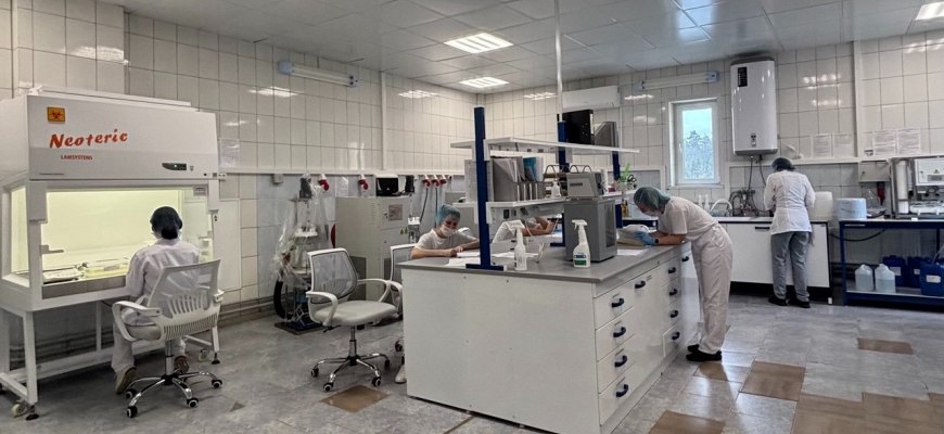 Миллион долларов на пациента: как российская разработка делает дорогостоящее лечение травм доступным