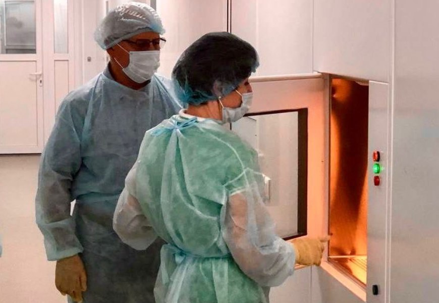 «Новый орган» человека: как российская разработка открывает путь к регенерации зрения