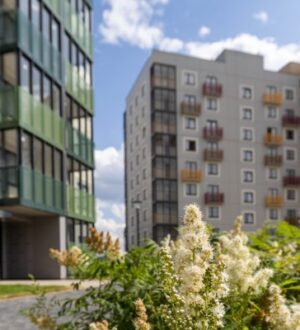 Первый в России стандарт гипоаллергенного благоустройства