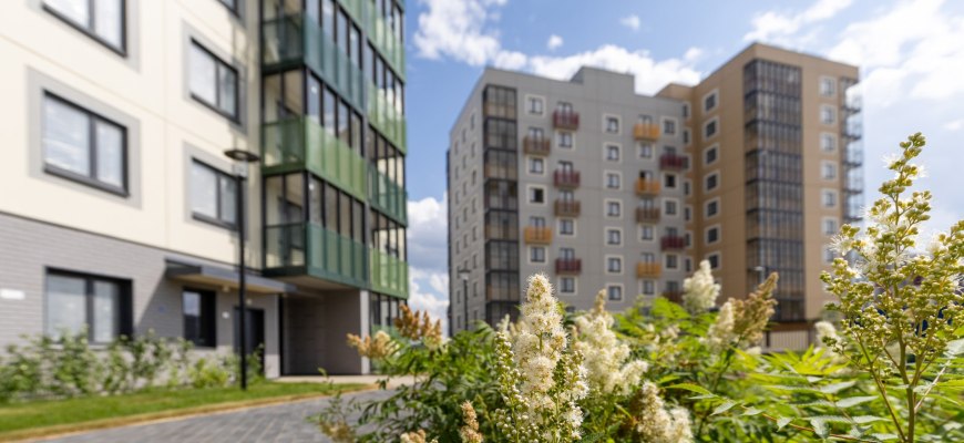 Первый в России стандарт гипоаллергенного благоустройства