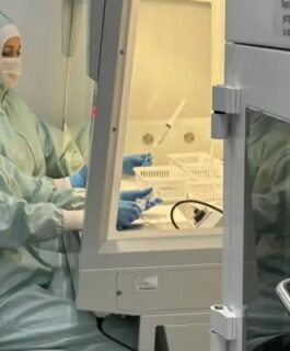 На исследования российского гидрогеля для восстановления костей, мягких тканей и нервов направят 120 млн рублей