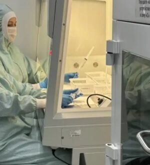 На исследования российского гидрогеля для восстановления костей, мягких тканей и нервов направят 120 млн рублей