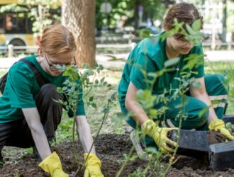 В Симферополе специалисты «Горзеленхоза» продолжают высадку цветов