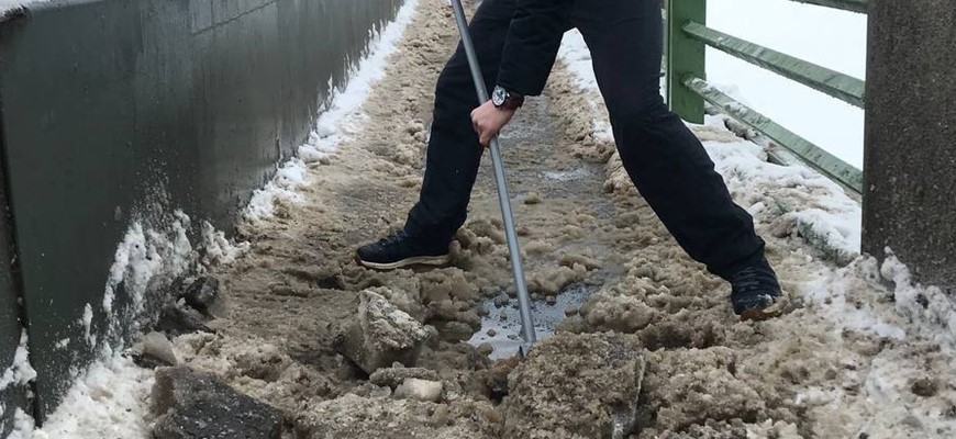 Наледь и снег на символах Петербурга заставили активистов выйти на уборку