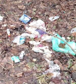 Жители пожаловались на скопление мусора на улицах Елены Колесовой в Ярославле