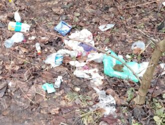 Жители пожаловались на скопление мусора на улицах Елены Колесовой в Ярославле