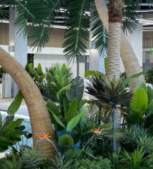 Курорт в некурортном городе: в Брянске открылся термальный комплекс