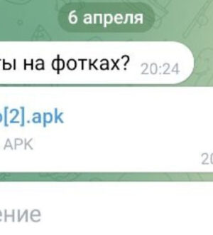 В Костромской области зафиксированы случаи распространения вредоносного вируса через мессенджер Telegram