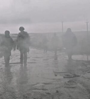 Они выбрали путь служения России и ежедневно доказывают свою доблесть