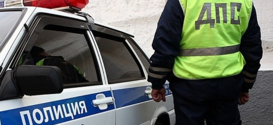 В Ивановской области несколько лосей выбежали на проезжую часть