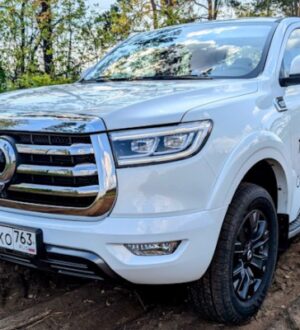 Особенности выбора китайского пикапа