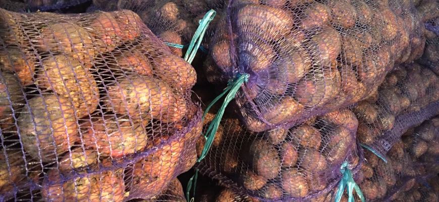 Костромская область демонстрирует впечатляющие результаты экспорта продукции агропромышленного комплекса