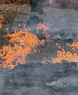 В Костромской области ожидается высокая пожароопасность