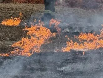 В Костромской области ожидается высокая пожароопасность