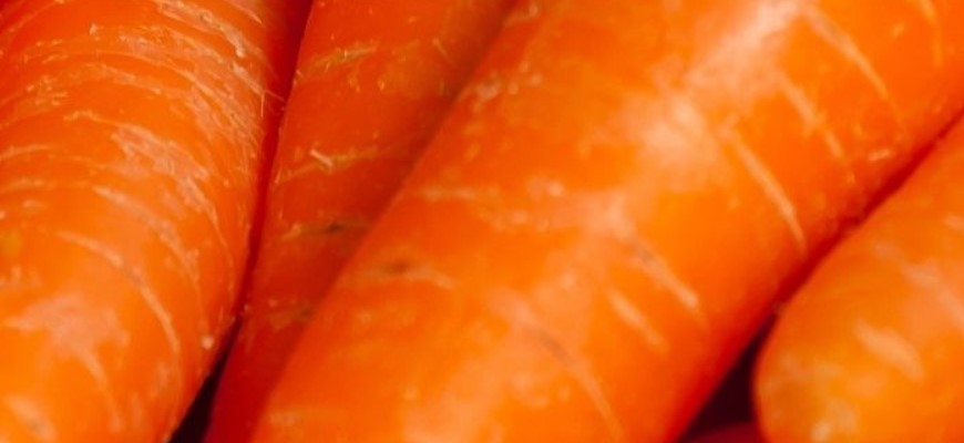 Учёные объяснили оранжевый цвет моркови